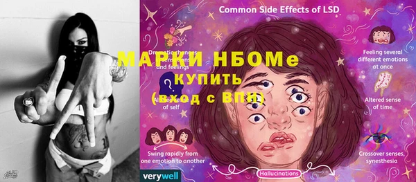 сатива Россошь