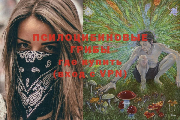 шишки Рославль