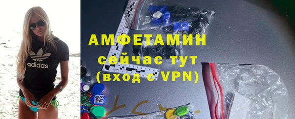 сатива Россошь