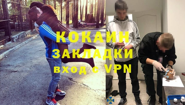 шишки Рославль