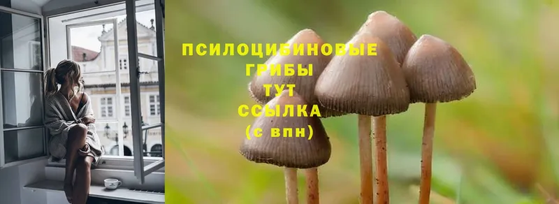 гидра ССЫЛКА  Апатиты  Псилоцибиновые грибы Cubensis  продажа наркотиков 