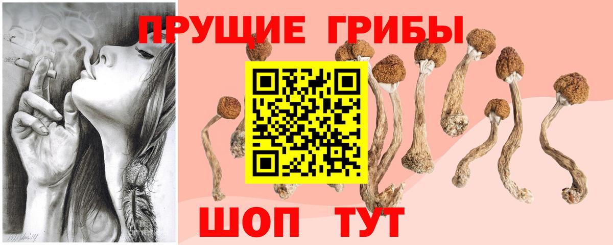 Псилоцибиновые грибы прущие грибы  Вход с VPN  Апатиты  Галлюциногенные грибы прущие грибы 