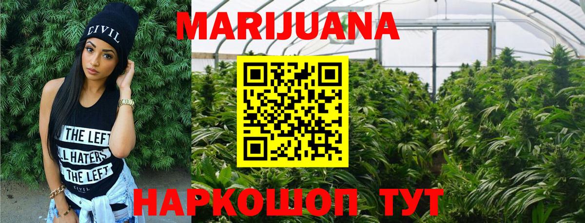 Канабис SATIVA & INDICA Апатиты